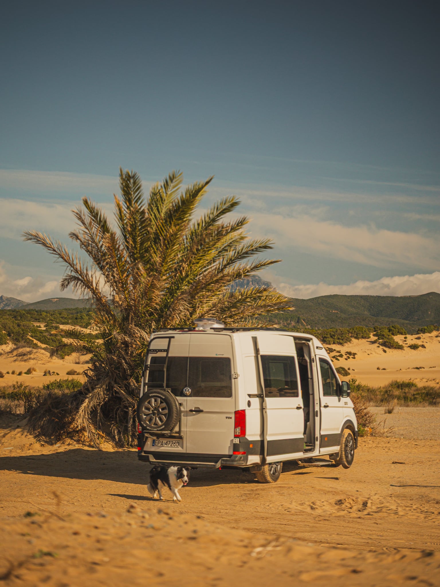 Desert Expedition